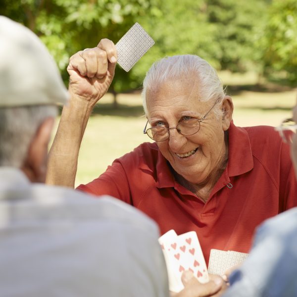 active-seniors-group-of-old-friends-playing-cards-at-park-29365483